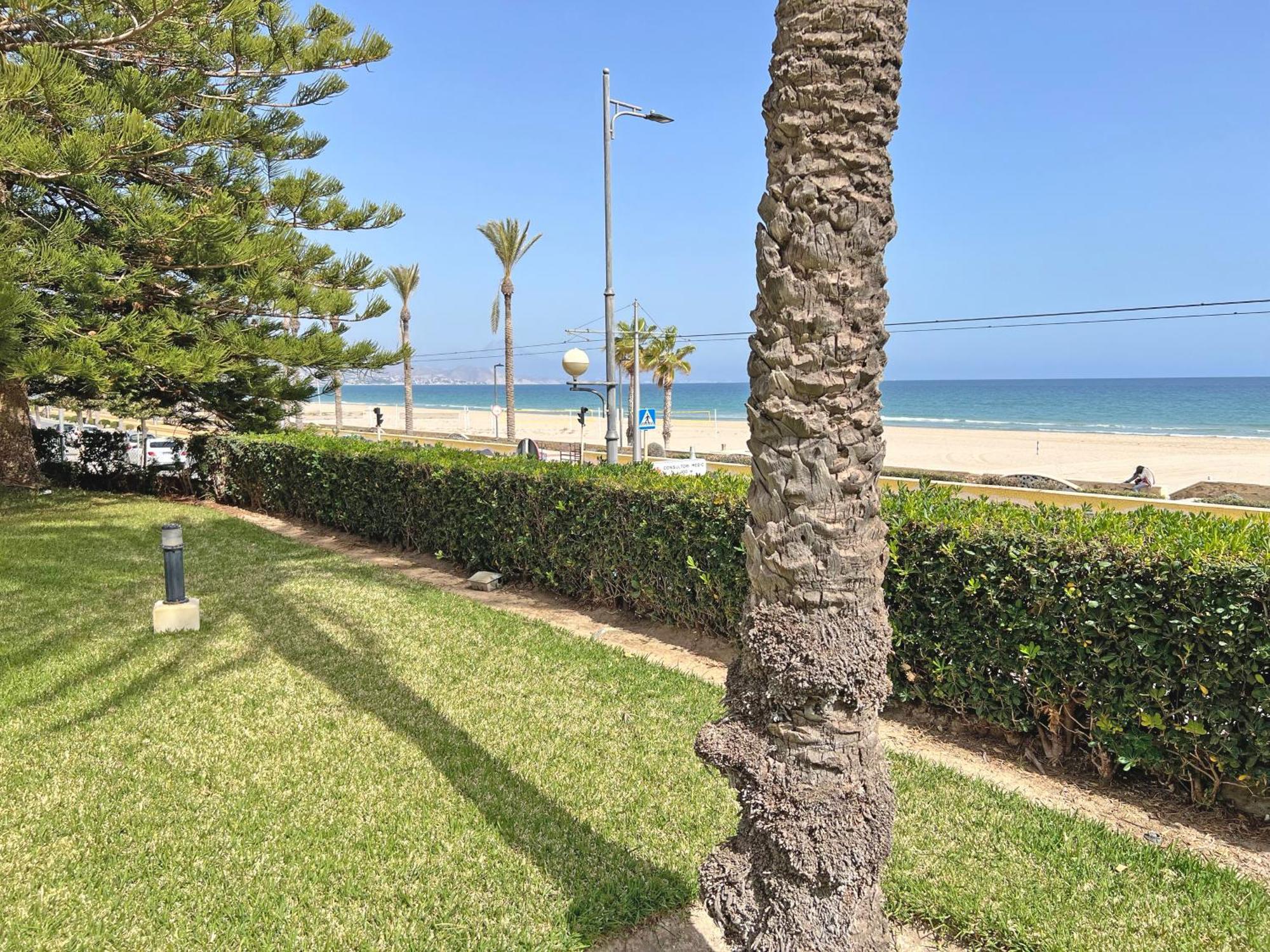 Ferienwohnung Oasis Frente Al Mar. Parking Gratis El Campello Exterior foto